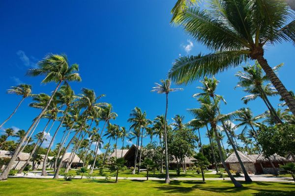 Hotel Kia Ora Rangiroa (Avatoru)